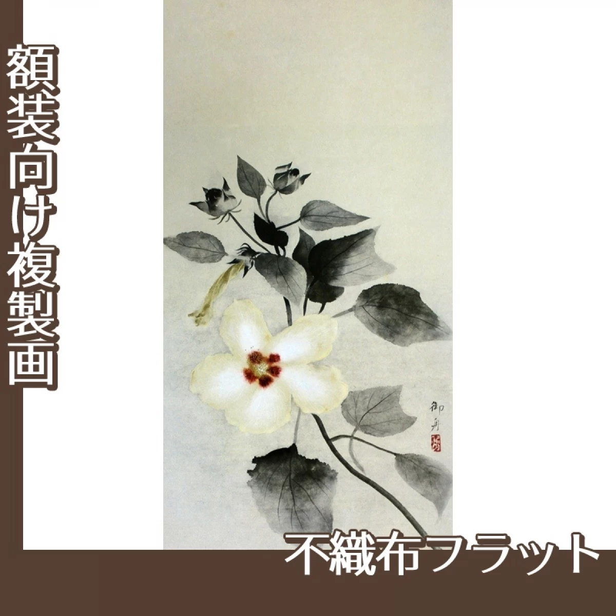 速水御舟「白芙蓉」【複製画:不織布フラット100g】