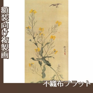 酒井抱一「麦穂菜花図(右隻)」【複製画:不織布フラット100g】