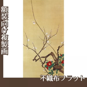 酒井抱一「十二ヶ月花鳥図(一月梅椿に鶯図)」【複製画:不織布フラット100g】