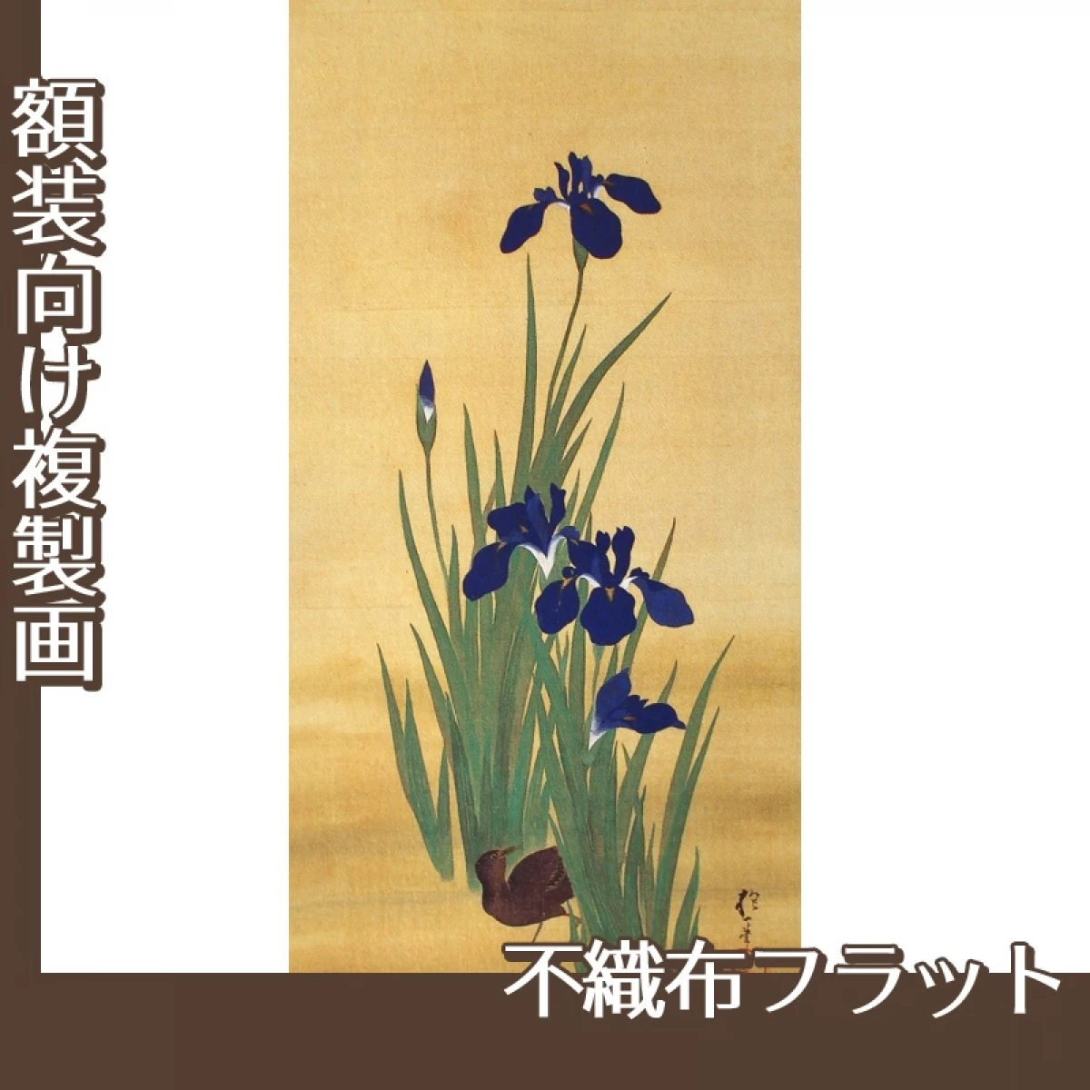 酒井抱一「十二ヶ月花鳥図(五月燕子花に水鶏図)」【複製画:不織布フラット100g】