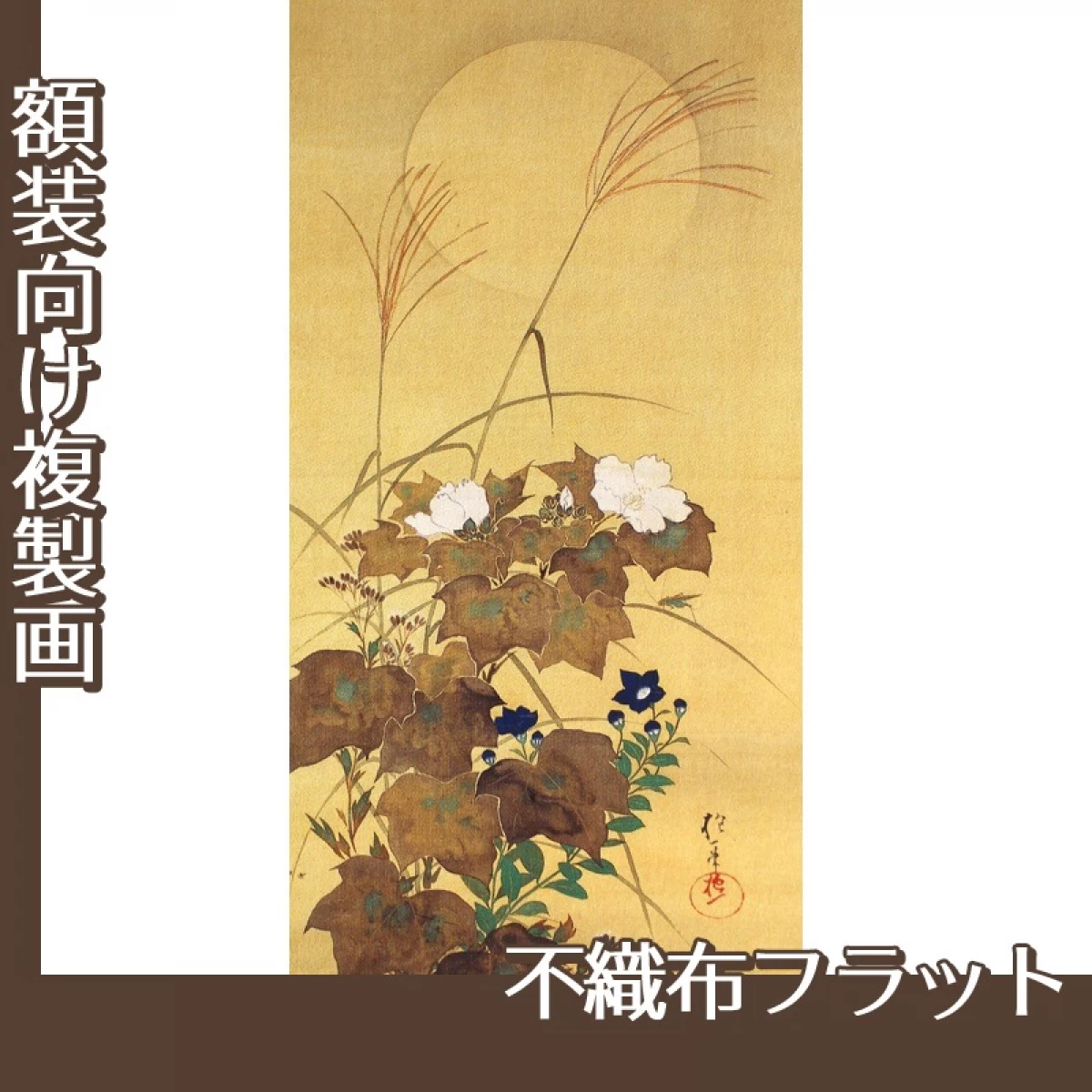 酒井抱一「十二ヶ月花鳥図(八月秋草に螽斯図)」【複製画:不織布フラット100g】