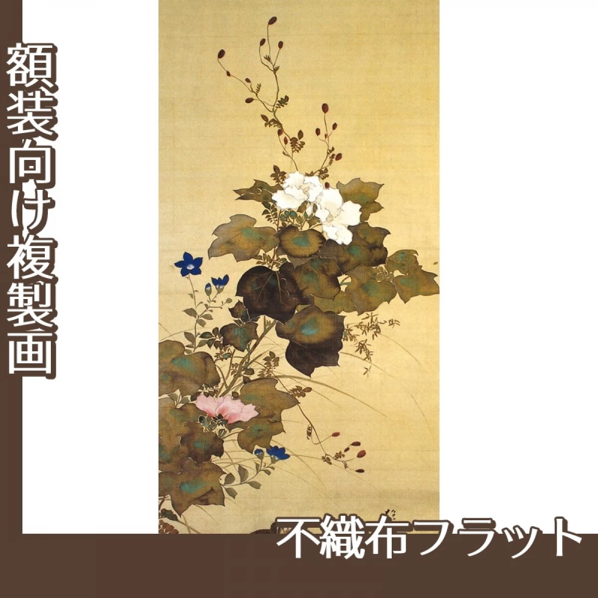 酒井抱一「十二ヶ月花鳥図(八月芙蓉に鶉)」【複製画:不織布フラット100g】