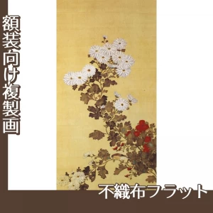 酒井抱一「十二ヶ月花鳥図(九月菊に小禽図)」【複製画:不織布フラット100g】