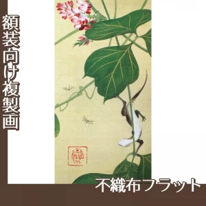 酒井抱一「葛に蜥蜴と蚊図」【複製画:不織布フラット100g】