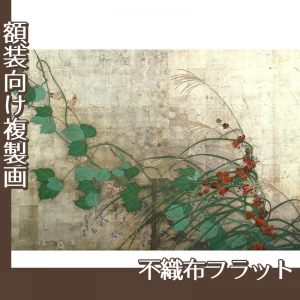 酒井抱一「夏秋草図屏風(左隻)」【複製画:不織布フラット100g】