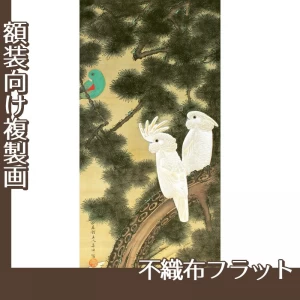 伊藤若冲「老松鸚鵡図」【複製画:不織布フラット100g】