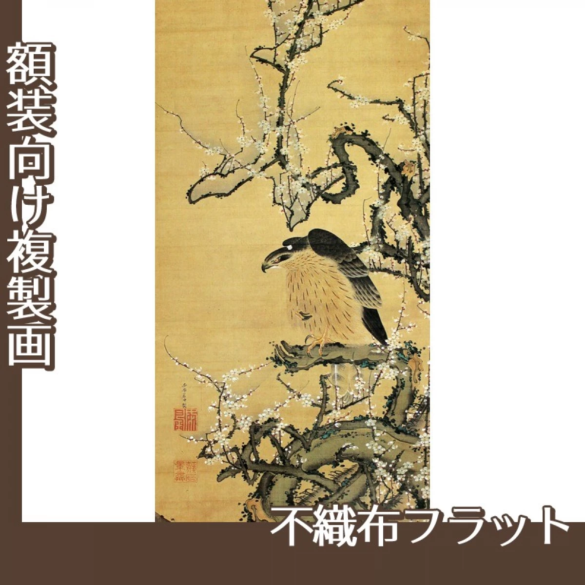 伊藤若冲「梅鷹図」【複製画:不織布フラット100g】