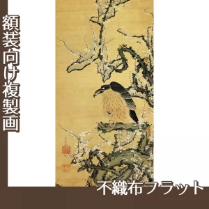 伊藤若冲「梅鷹図」【複製画:不織布フラット100g】