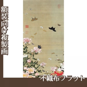 伊藤若冲「芍薬群蝶図」【複製画:不織布フラット100g】