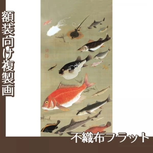 伊藤若冲「群魚図」【複製画:不織布フラット100g】