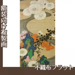 伊藤若冲「菊花流水図」【複製画:不織布フラット100g】