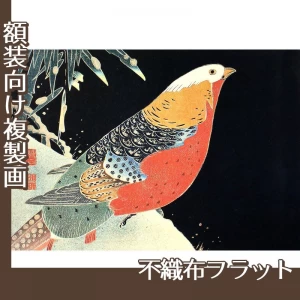 伊藤若冲「花鳥版画　一.雪竹に錦鶏図」【複製画:不織布フラット】