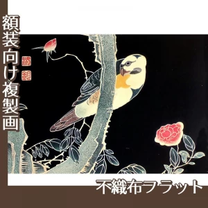 伊藤若冲「花鳥版画　三.薔薇に鸚哥図」【複製画:不織布フラット】