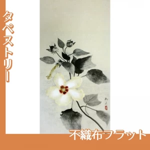 速水御舟「白芙蓉」【タペストリー:不織布フラット】