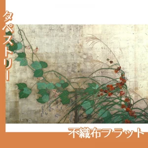 酒井抱一「夏秋草図屏風(左隻)」【タペストリー:不織布フラット】