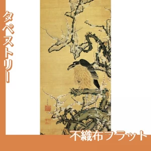 伊藤若冲「梅鷹図」【タペストリー:不織布フラット】