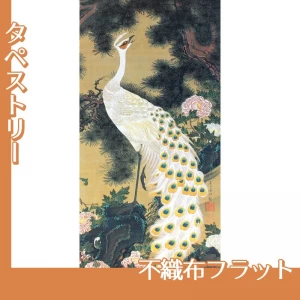 伊藤若冲「老松孔雀図」【タペストリー:不織布フラット】