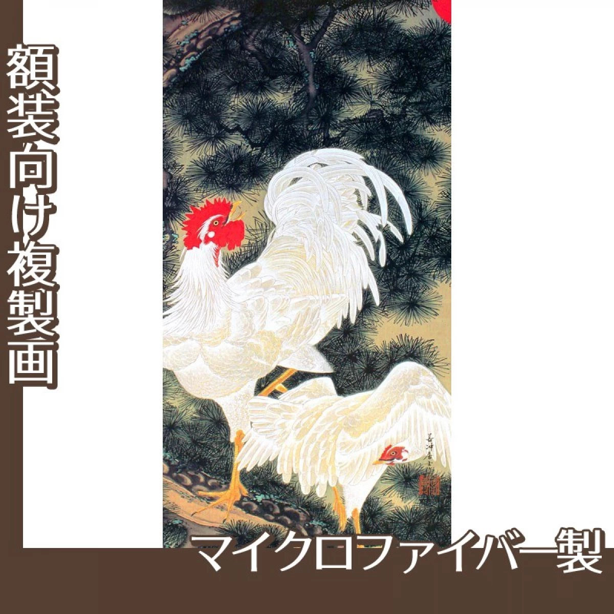 伊藤若冲「老松白鶏図」【複製画:トロピカル】