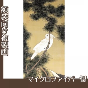 伊藤若冲「松に鸚鵡図2」【複製画:マイクロファイバー】