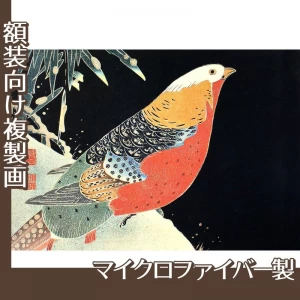 伊藤若冲「花鳥版画　一.雪竹に錦鶏図」【複製画:マイクロファイバー】