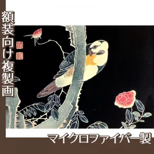 伊藤若冲「花鳥版画　三.薔薇に鸚哥図」【複製画:マイクロファイバー】