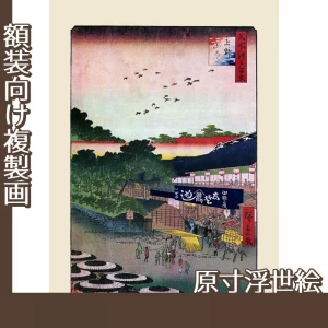 歌川広重「名所江戸百景　上野山した」【原寸浮世絵】