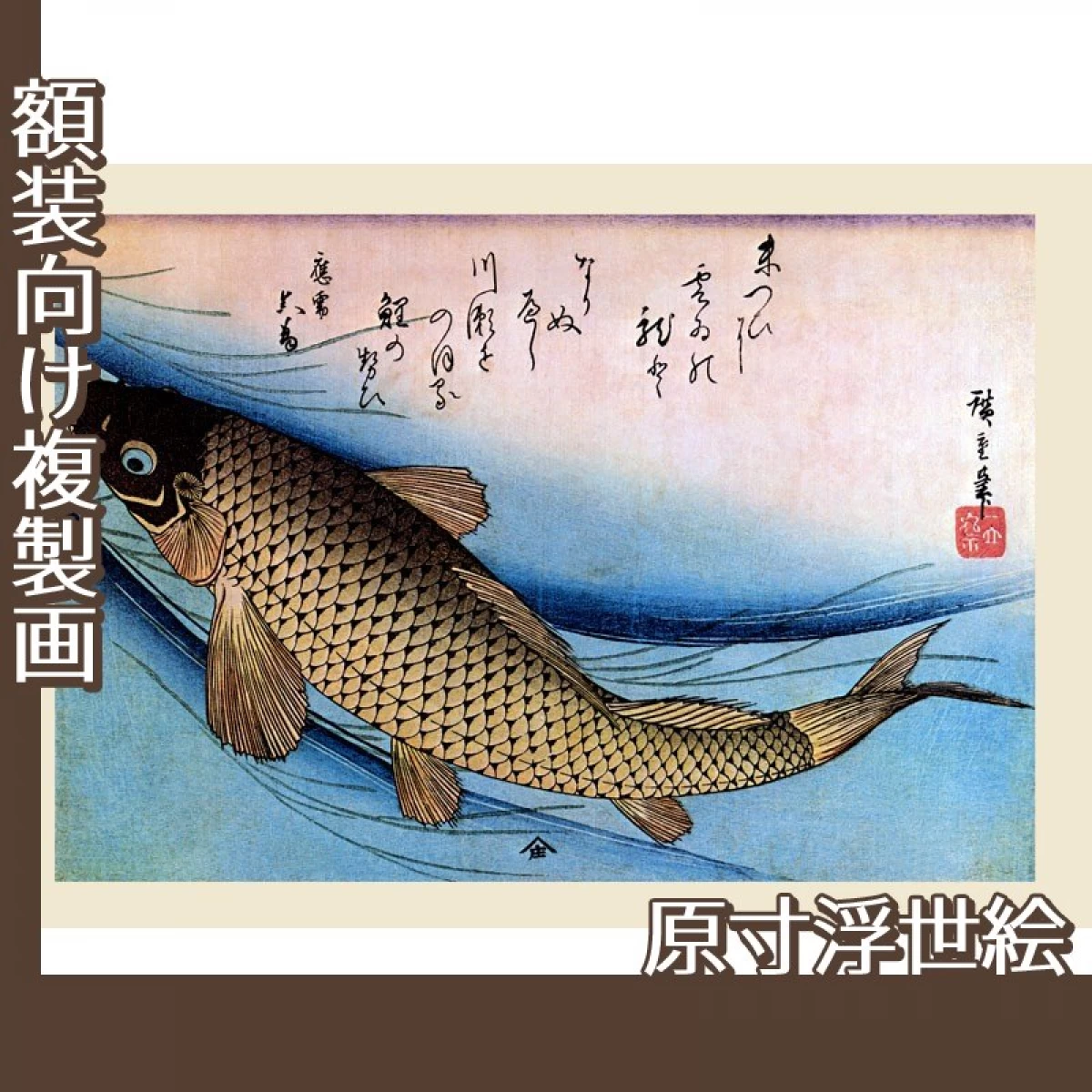 歌川広重「魚づくし　鯉」【原寸浮世絵】