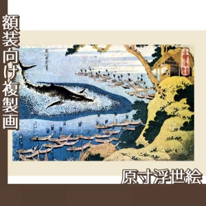 葛飾北斎「千絵の海　五島鯨突」【原寸浮世絵】