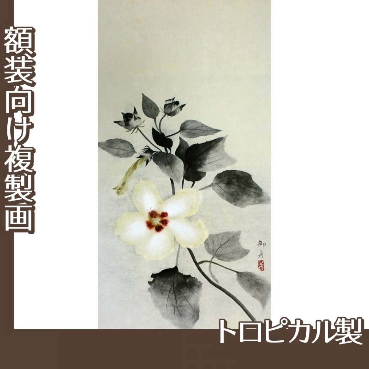 速水御舟「白芙蓉」【複製画:トロピカル】