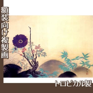 横山大観「寒牡丹」【複製画:トロピカル】