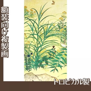 横山大観「野の花1」【複製画:トロピカル】