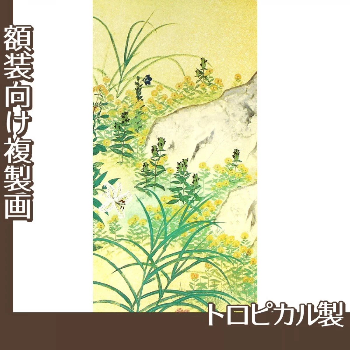 横山大観「野の花2」【複製画:トロピカル】