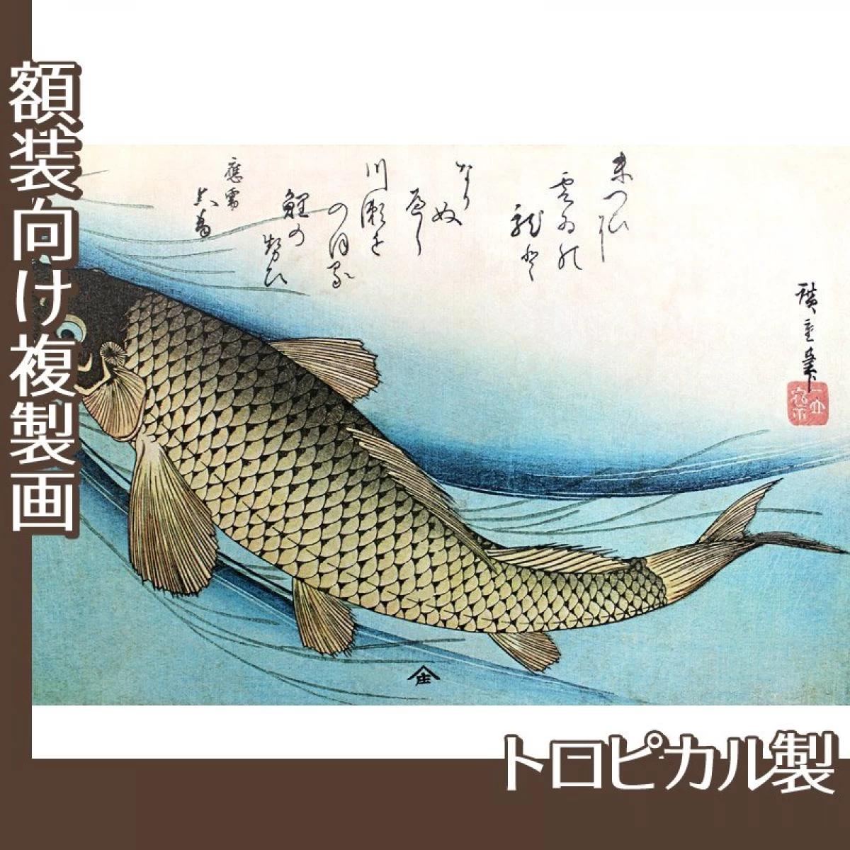 歌川広重「魚づくし　鯉」【複製画:トロピカル】