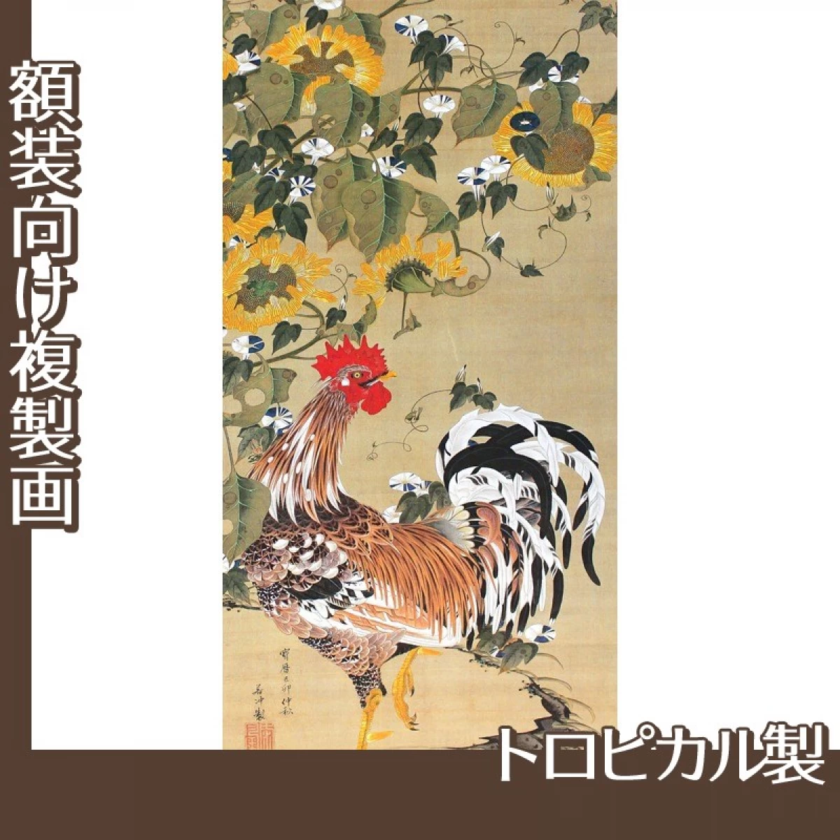 伊藤若冲「向日葵雄鶏図」【複製画:トロピカル】