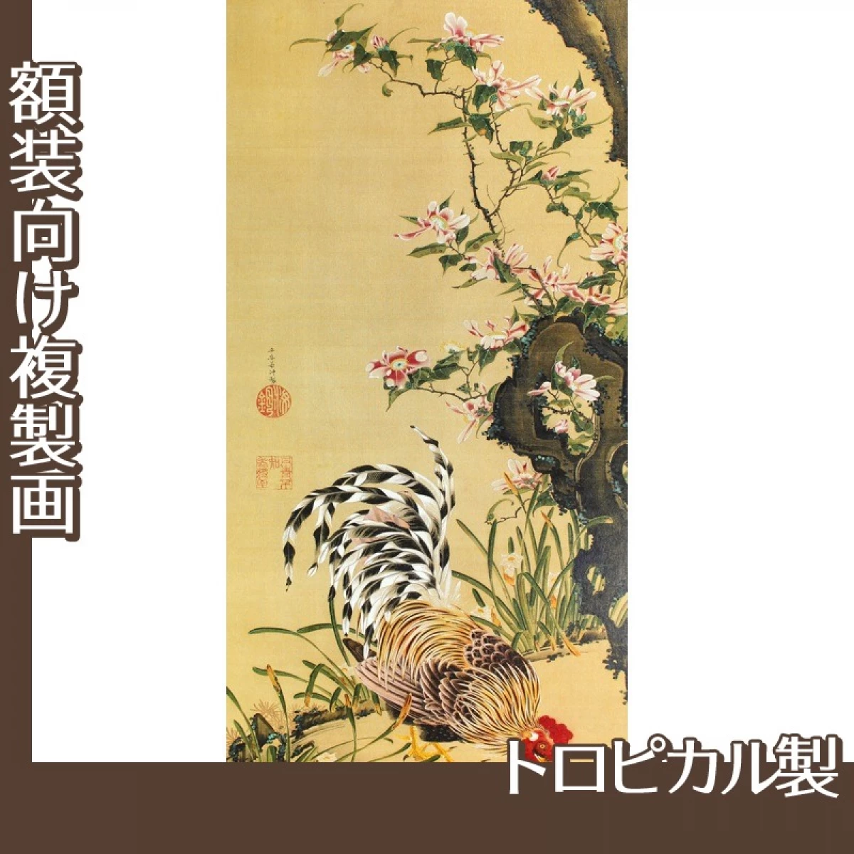 伊藤若冲「花卉雄鶏図」【複製画:トロピカル】