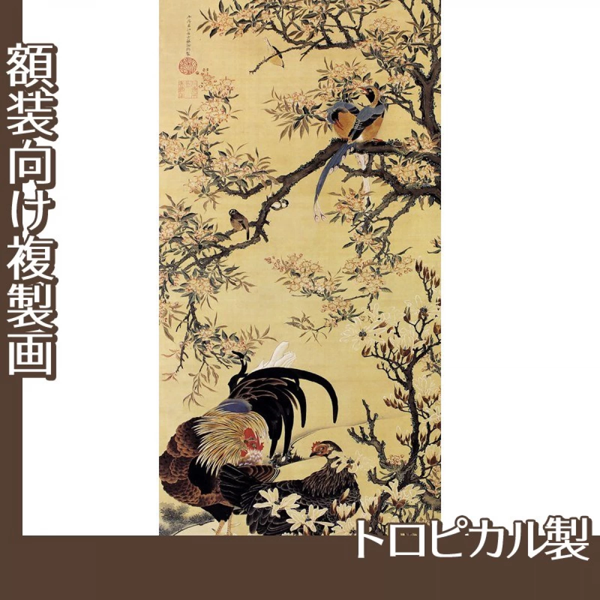 伊藤若冲「花卉双鶏図」【複製画:トロピカル】