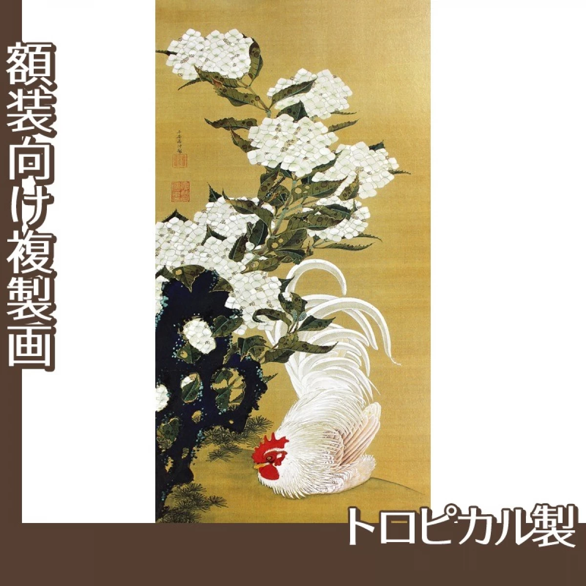 伊藤若冲「陽花白鶏図」【複製画:トロピカル】