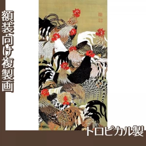 伊藤若冲「群鶏図」【複製画:トロピカル】