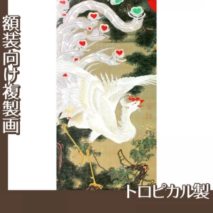 伊藤若冲「老松白鳳図」【複製画:トロピカル】