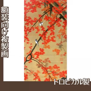 伊藤若冲「紅葉小禽図」【複製画:トロピカル】