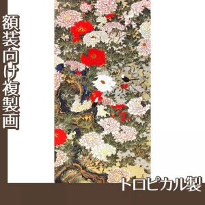 伊藤若冲「牡丹小禽図」【複製画:トロピカル】