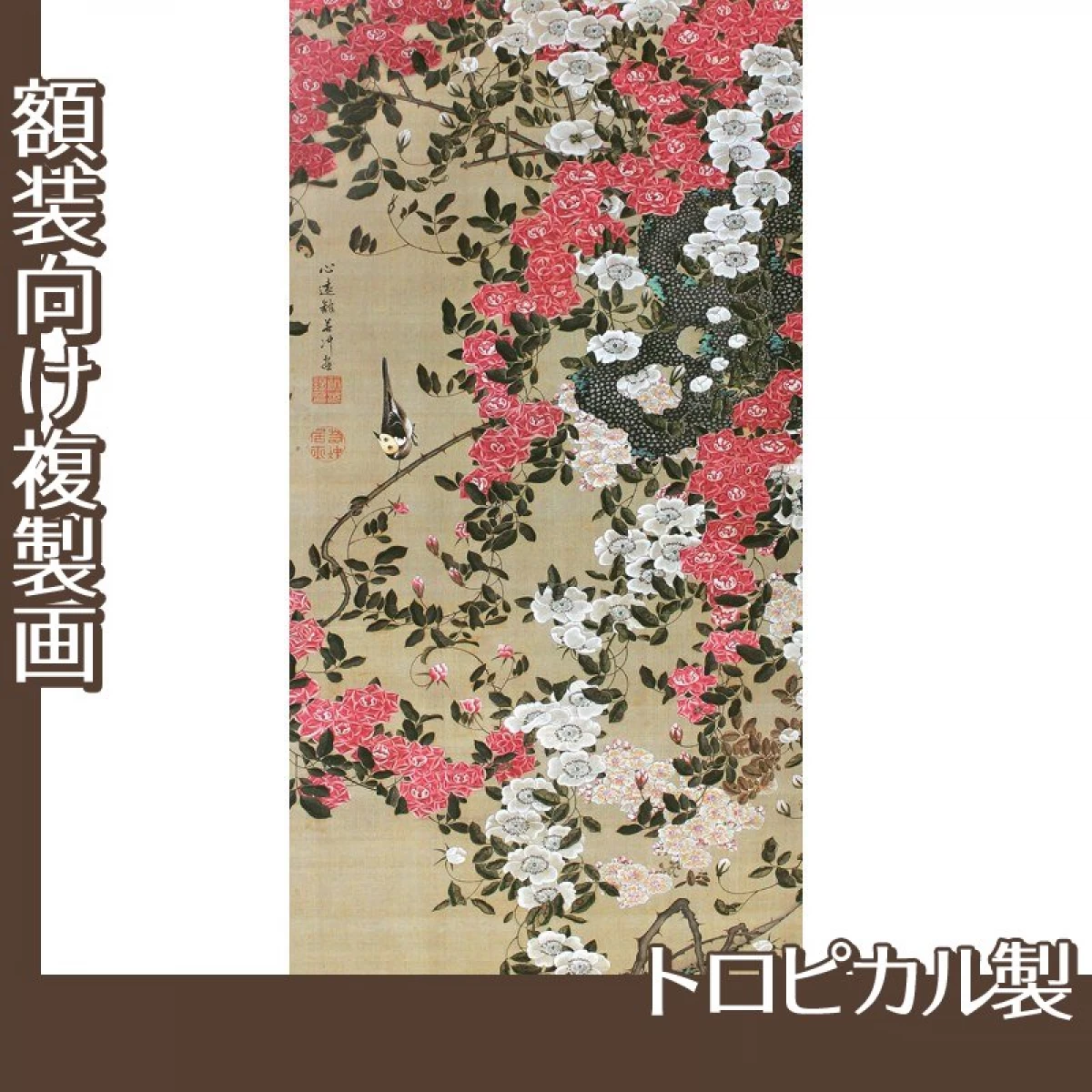 伊藤若冲「薔薇小禽図」【複製画:トロピカル】