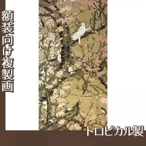 伊藤若冲「桃花小禽図」【複製画:トロピカル】