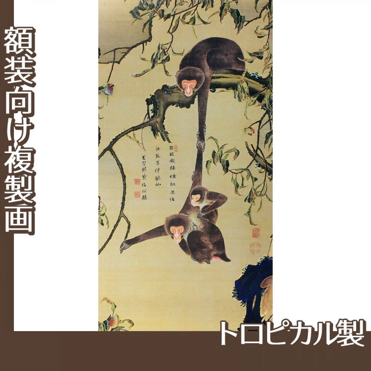 伊藤若冲「猿猴摘桃図」【複製画:トロピカル】