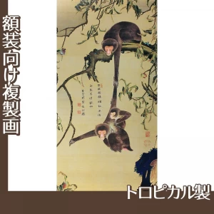 伊藤若冲「猿猴摘桃図」【複製画:トロピカル】