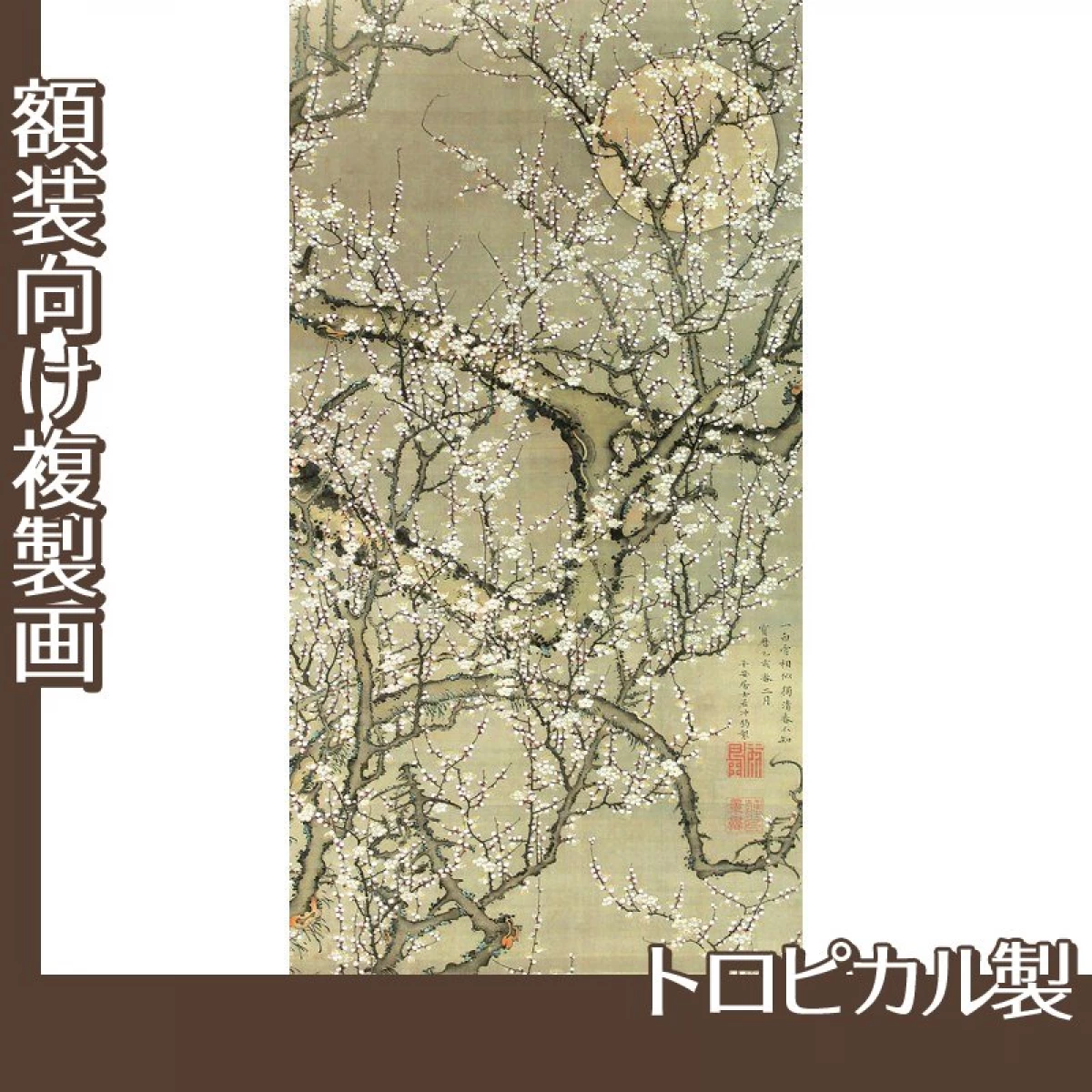 伊藤若冲「月梅図」【複製画:トロピカル】