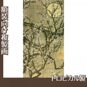 伊藤若冲「梅花晧月図」【複製画:トロピカル】