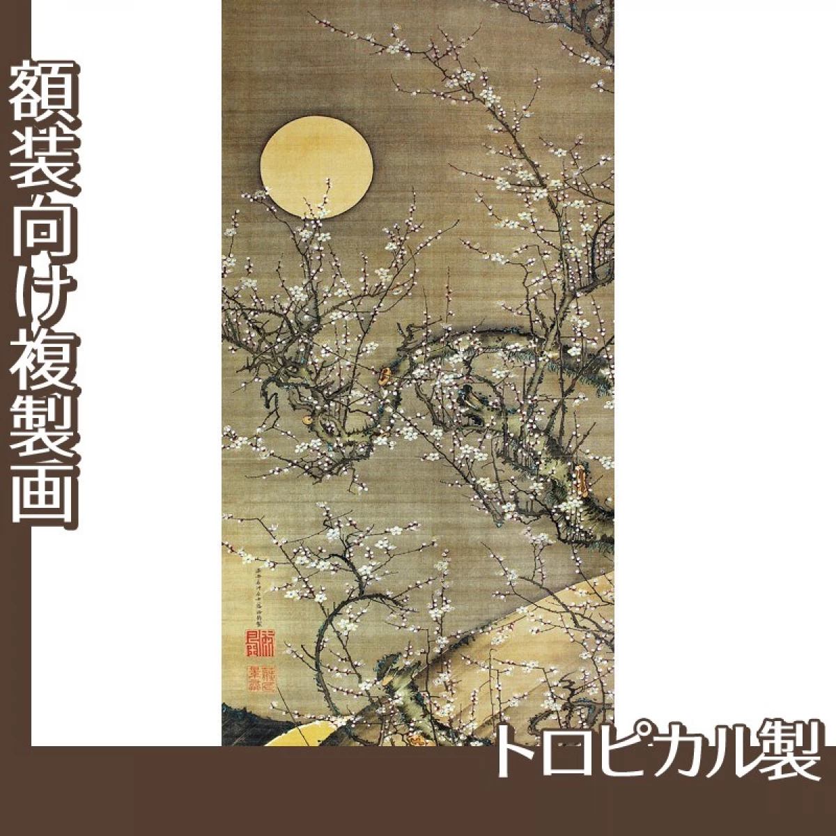 伊藤若冲「月夜白梅図」【複製画:トロピカル】