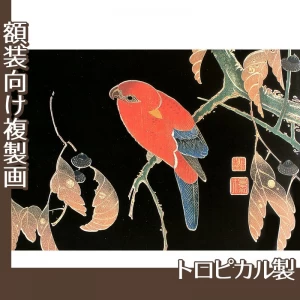 伊藤若冲「花鳥版画　二.櫟に鸚哥図」【複製画:トロピカル】