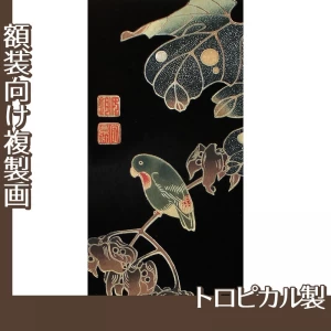 伊藤若冲「花鳥版画　四.青桐に砂糖鳥図」【複製画:トロピカル】